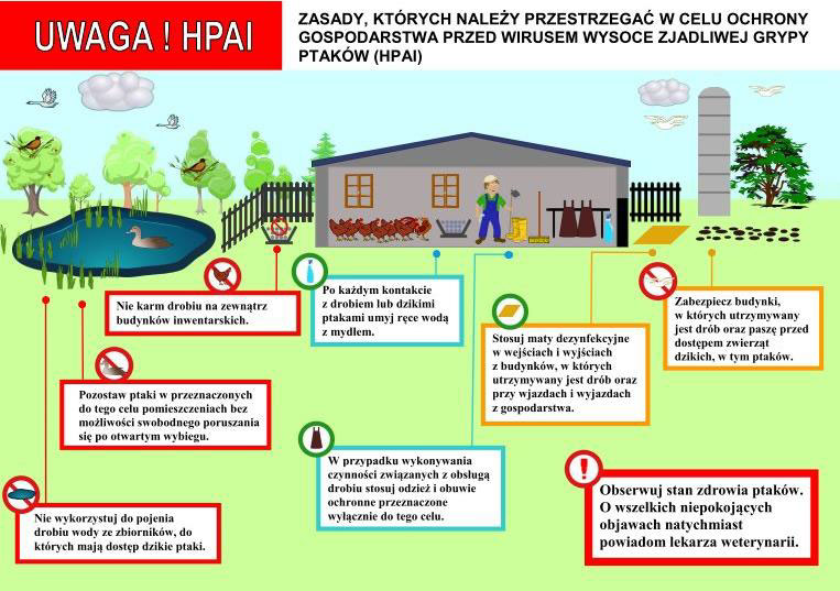Grypa ptaków - informacja dla populacji ogólnej oraz osób zawodowo narażonych na kontakt z chorymi zwierzętami